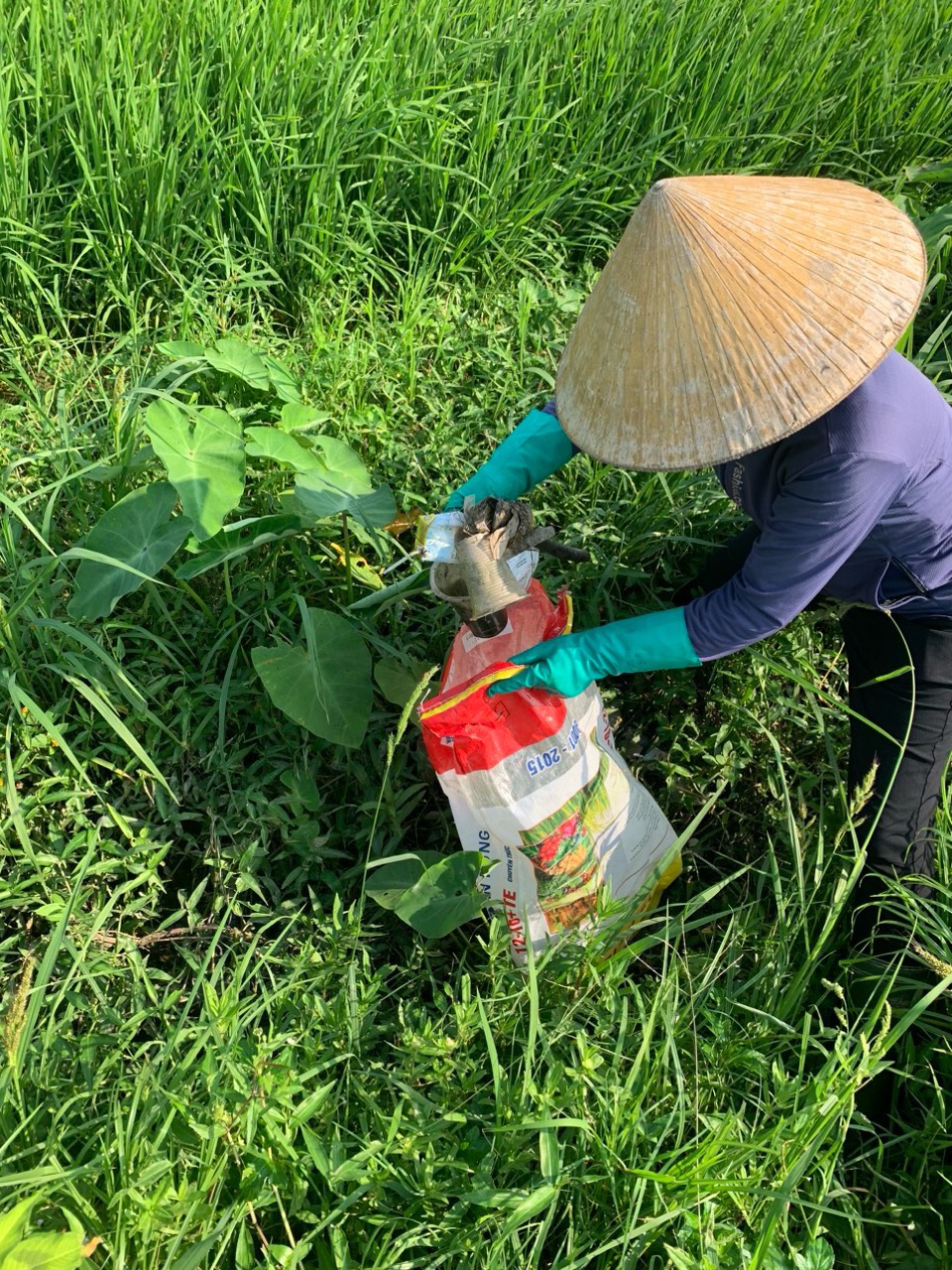 Hội Nông dân xã Kỳ Phú tổ chức thu gom vỏ chai, bao bì thuốc bảo vệ thực vật trên các cánh đồng